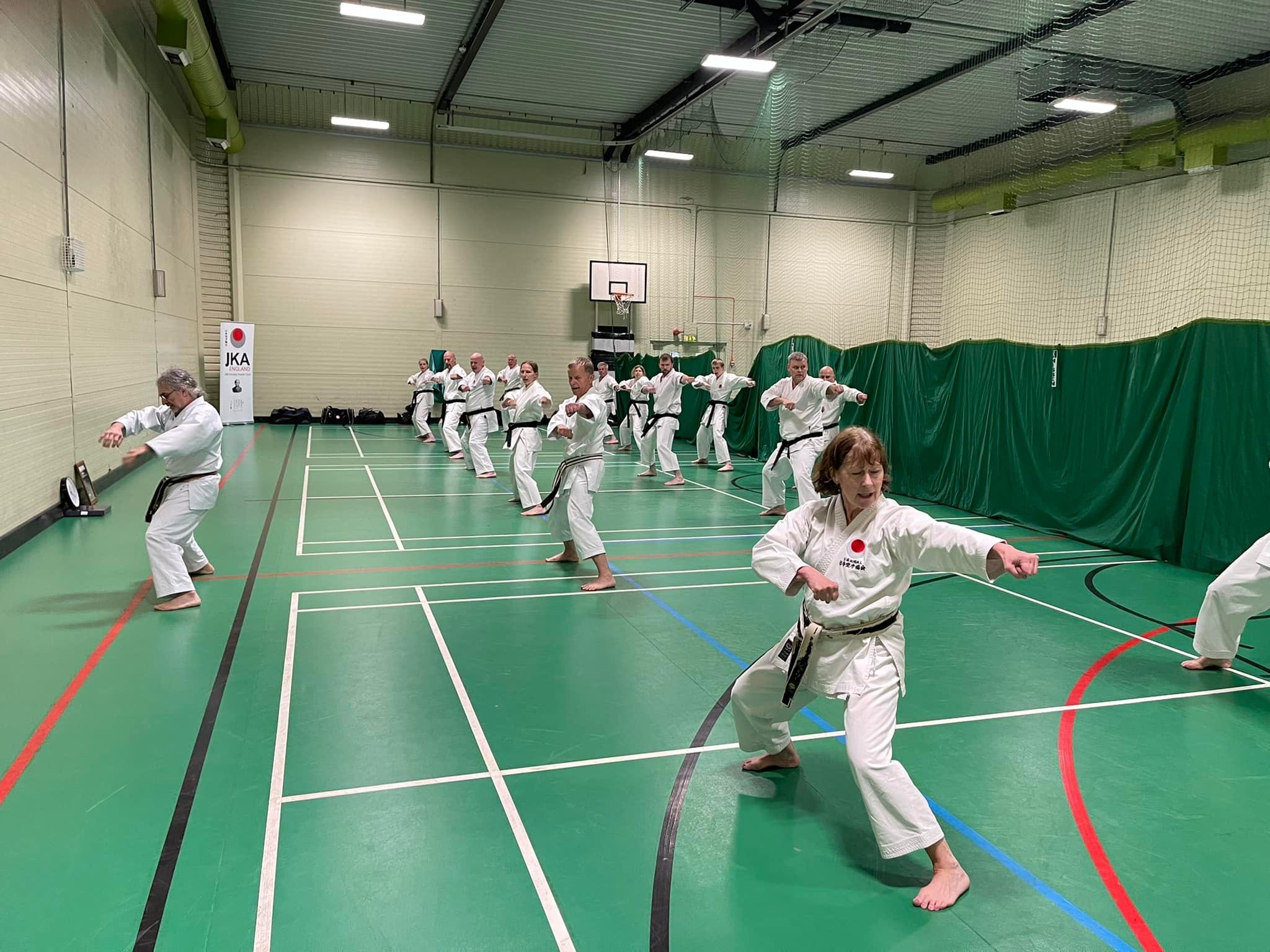 Black and Brown Belt training with Sensei Spiros 5th Dan, May 2022